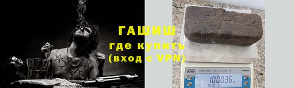 сатива Аркадак