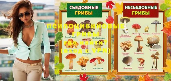 сатива Аркадак