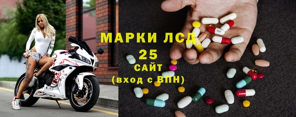 сатива Аркадак