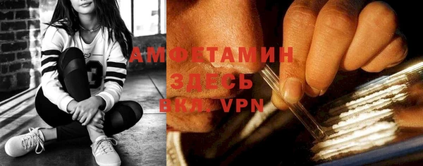 сатива Аркадак