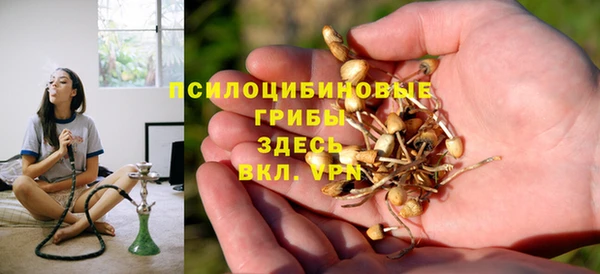 герыч Арсеньев