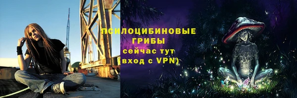 герыч Арсеньев