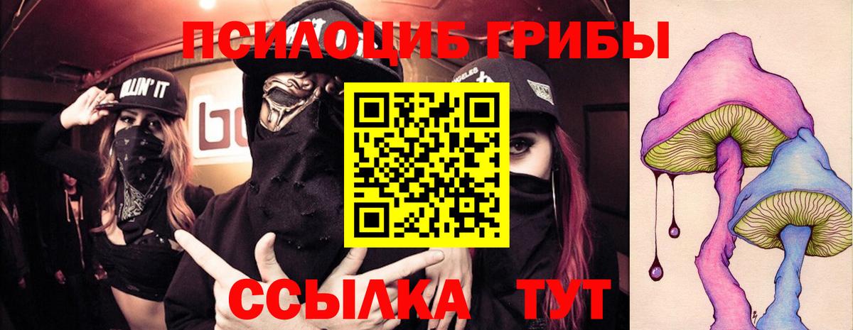 Галлюциногенные грибы мицелий Полевской